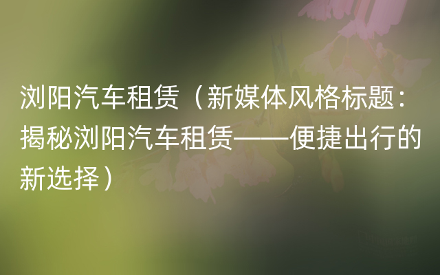 浏阳汽车租赁（新媒体风格标题：揭秘浏阳汽车租赁——便捷出行的新选择）