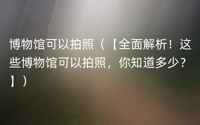 博物馆可以拍照（【全面解析！这些博物馆可以拍照，你知道多少？】）