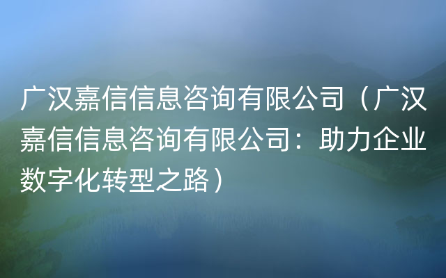 广汉嘉信信息咨询有限公司（广汉嘉信信息咨询有限公司：助力企业数字化转型之路）