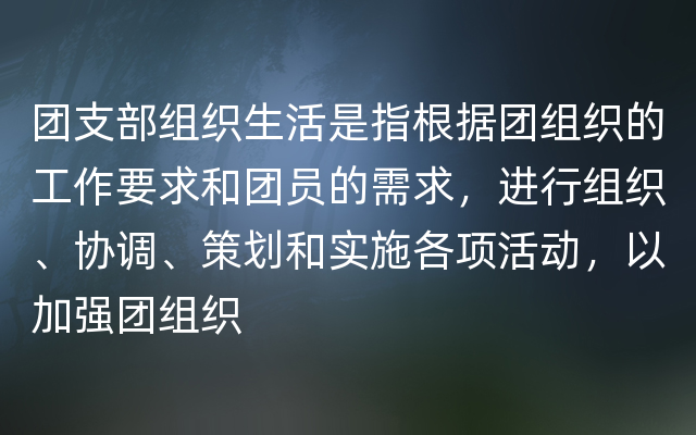 团支部组织生活是指根据团组织的工作要求和团员的需求，进行组织、协调、策划和实施各