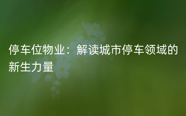 停车位物业：解读城市停车领域的新生力量