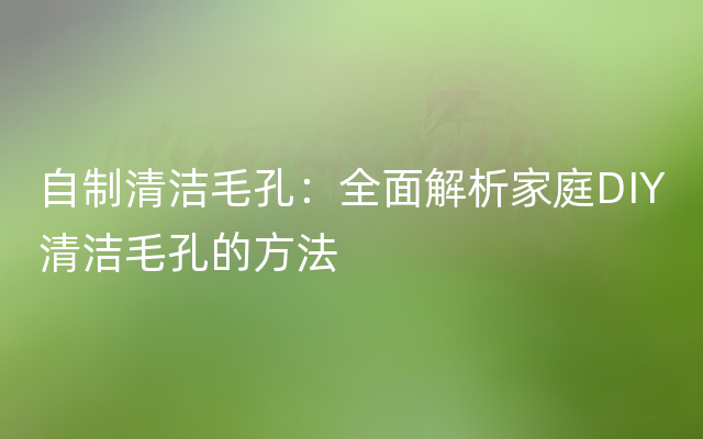 自制清洁毛孔：全面解析家庭DIY清洁毛孔的方法