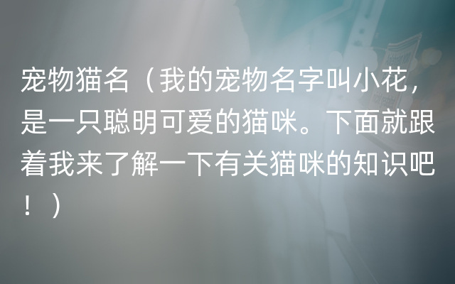 宠物猫名（我的宠物名字叫小花，是一只聪明可爱的猫咪。下面就跟着我来了解一下有关猫