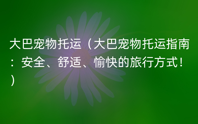 大巴宠物托运（大巴宠物托运指南：安全、舒适、愉快的旅行方式！）