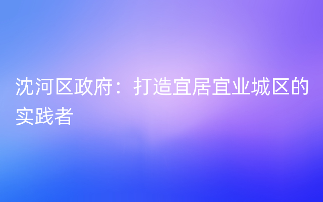 沈河区政府：打造宜居宜业城区的实践者