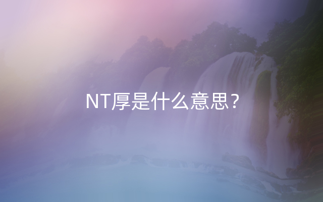 NT厚是什么意思？