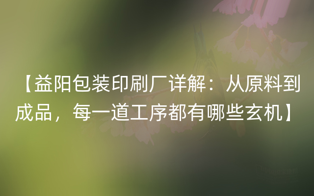 【益阳包装印刷厂详解：从原料到成品，每一道工序都有哪些玄机】