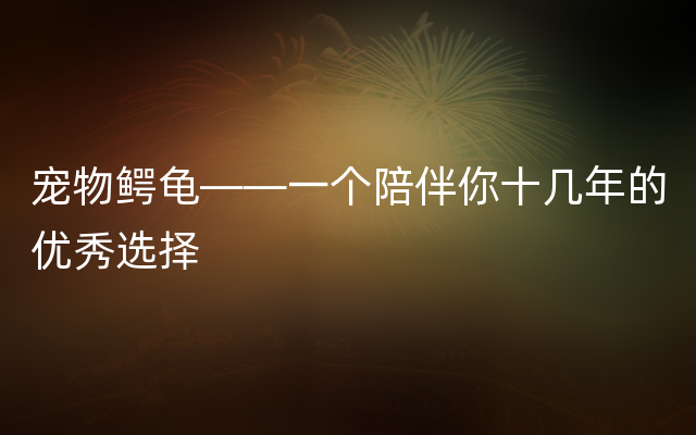 宠物鳄龟——一个陪伴你十几年的优秀选择