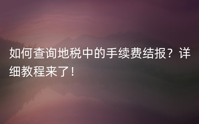 如何查询地税中的手续费结报？详细教程来了！