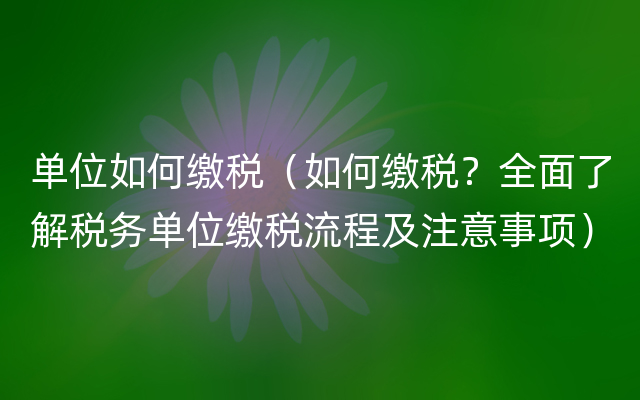 单位如何缴税（如何缴税？全面了解税务单位缴税流程及注意事项）