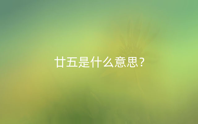 廿五是什么意思？