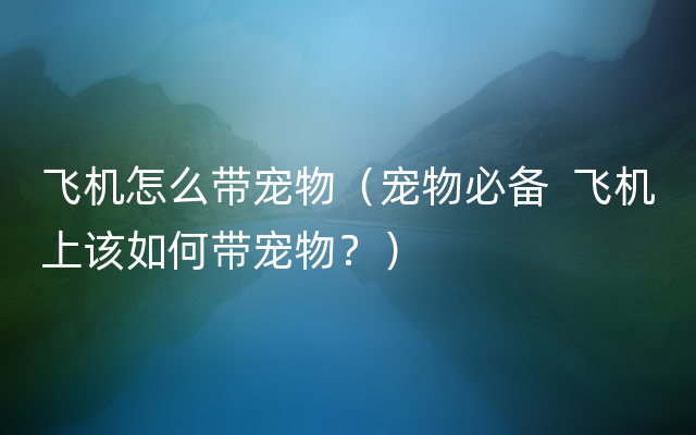 飞机怎么带宠物（宠物必备  飞机上该如何带宠物？）