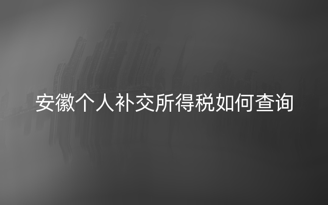 安徽个人补交所得税如何查询