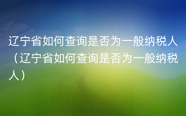 辽宁省如何查询是否为一般纳税人（辽宁省如何查询是否为一般纳税人）