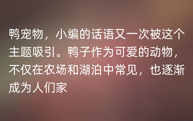 鸭宠物，小编的话语又一次被这个主题吸引。鸭子作为可爱的动物，不仅在农场和湖泊中常