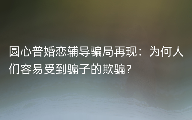 圆心普婚恋辅导骗局再现：为何人们容易受到骗子的欺骗？