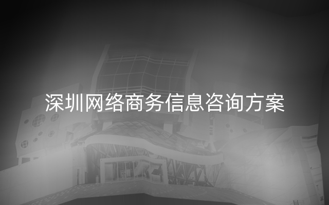 深圳网络商务信息咨询方案