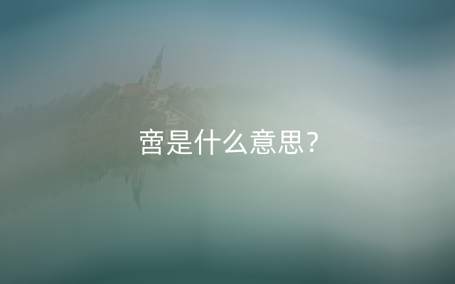 啻是什么意思？