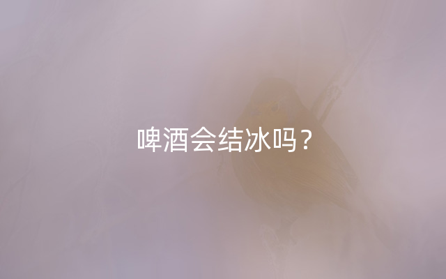 啤酒会结冰吗？