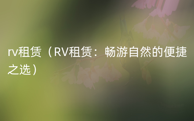 rv租赁（RV租赁：畅游自然的便捷之选）