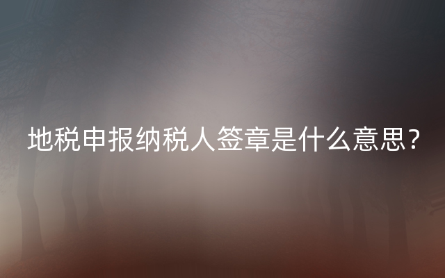 地税申报纳税人签章是什么意思？