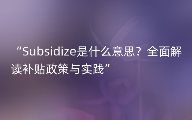 “Subsidize是什么意思？全面解读补贴政策与实践”