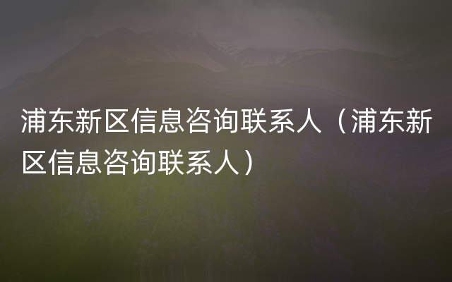 浦东新区信息咨询联系人（浦东新区信息咨询联系人）