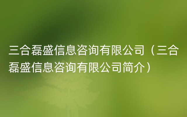 三合磊盛信息咨询有限公司（三合磊盛信息咨询有限公司简介）