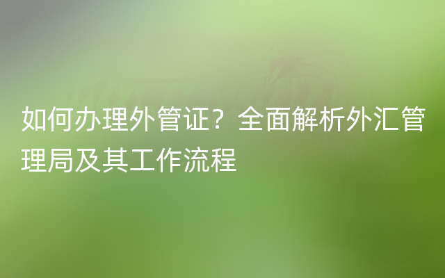 如何办理外管证？全面解析外汇管理局及其工作流程