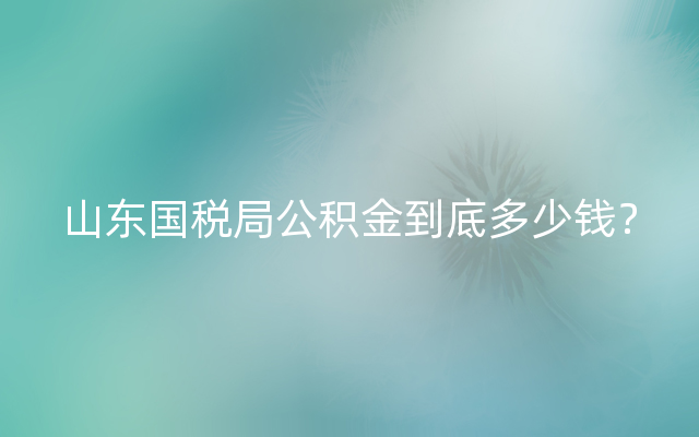 山东国税局公积金到底多少钱？