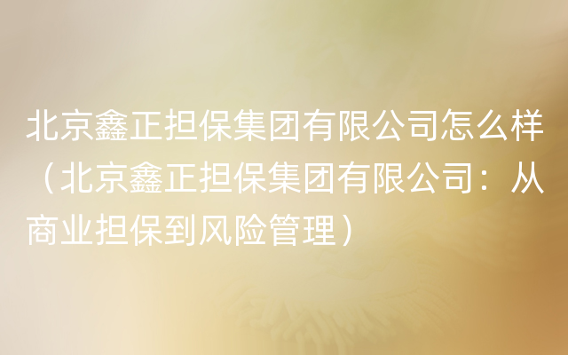 北京鑫正担保集团有限公司怎么样（北京鑫正担保集团有限公司：从商业担保到风险管理）