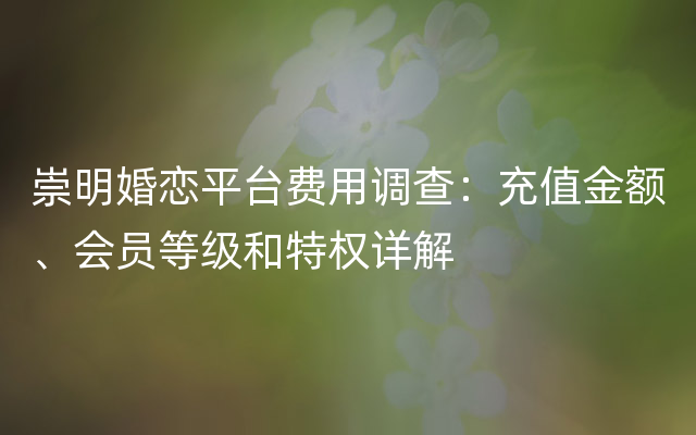 崇明婚恋平台费用调查：充值金额、会员等级和特权详解