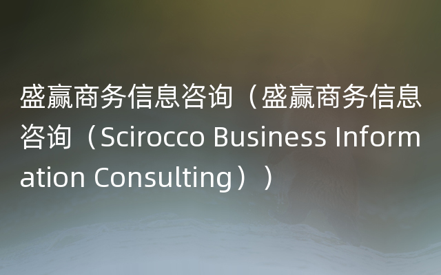 盛赢商务信息咨询（盛赢商务信息咨询（Scirocco Business Information Consulting））