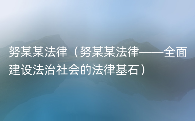 努某某法律（努某某法律——全面建设法治社会的法