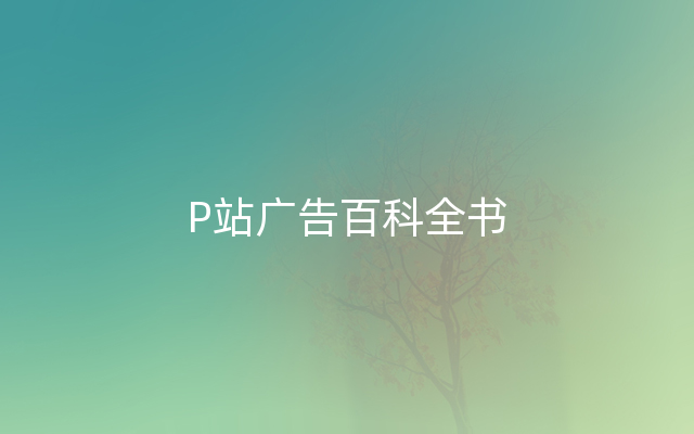 P站广告百科全书