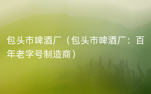 包头市啤酒厂（包头市啤酒厂：百年老字号制造商）