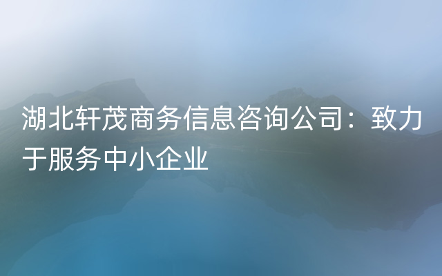 湖北轩茂商务信息咨询公司：致力于服务中小企业