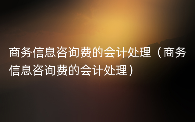 商务信息咨询费的会计处理（商务信息咨询费的会计处理）