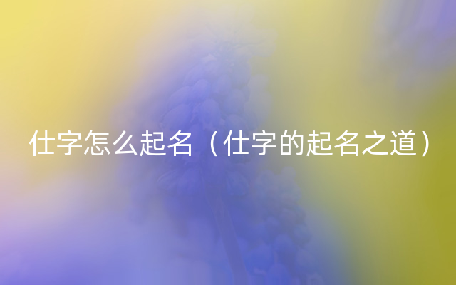 仕字怎么起名（仕字的起名之道）