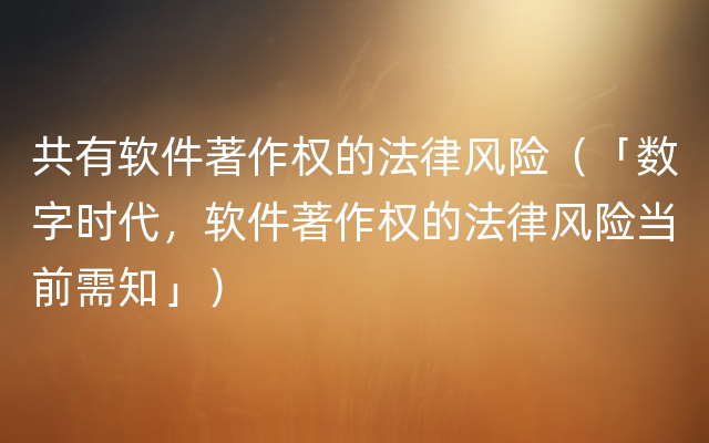 共有软件著作权的法律风险（「数字时代，软件著作权的法律风险当前需知」）