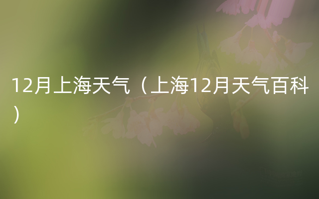 12月上海天气（上海12月天气百科）