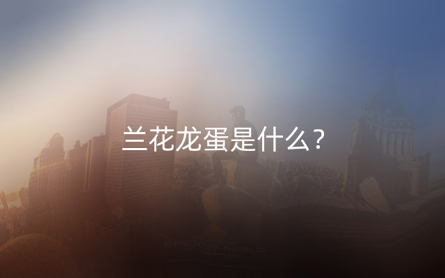 兰花龙蛋是什么？