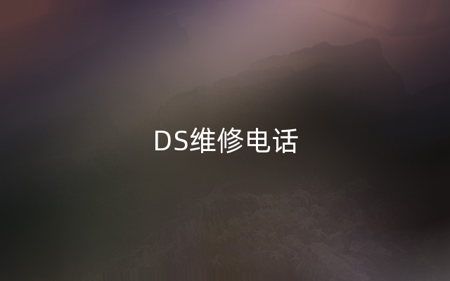 DS维修电话