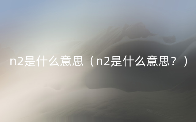 n2是什么意思（n2是什么意思？）