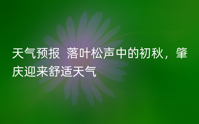 天气预报  落叶松声中的初秋，肇庆迎来舒适天气