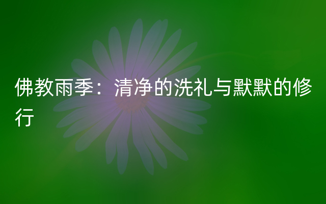 佛教雨季：清净的洗礼与默默的修行