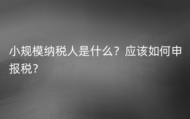 小规模纳税人是什么？应该如何申报税？