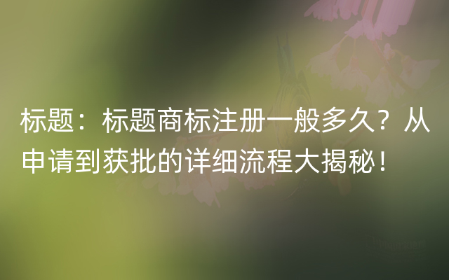 标题：标题商标注册一般多久？从申请到获批的详细流程大揭秘！