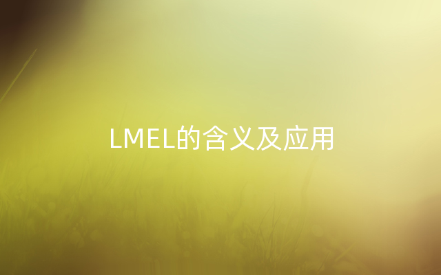 LMEL的含义及应用