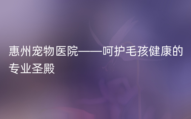 惠州宠物医院——呵护毛孩健康的专业圣殿